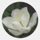 Suche nach südlich aufkleber Magnolie