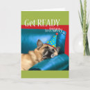 Suche nach couch karten Kaninchen