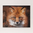 Suche nach fuchs puzzle Foto