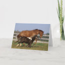 Suche nach shetland pony karten Rasse