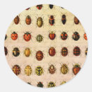 Suche nach ladybird aufkleber Ladybug