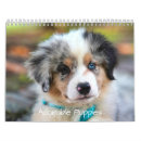 Suche nach welpen kalender Tierliebhaber