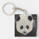 Suche nach smithsonian schlüsselanhänger Panda