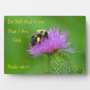 Suche nach hummel fotoplatten Blume
