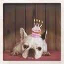 Suche nach bulldogge mit untersetzer Tierthemen