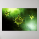 Suche nach zytoplasma poster Biomedizinische illustrationen