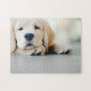 Suche nach welpe puzzle Baby