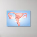 Suche nach weibliche anatomie leinwandbilder Detail