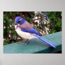 Suche nach plattformen poster Natur
