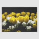 Suche nach tulpen seidenpapier Elegant