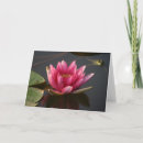 Suche nach lotus blume karten Natur