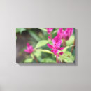 Suche nach gärten kunst Blumen