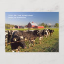 Suche nach rote kuh postkarten Bauernhof