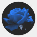 Suche nach blaue rose aufkleber Blume