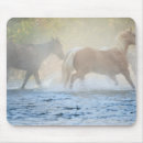 Suche nach wildes pferd mousepads Tier
