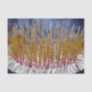 Suche nach china seidenpapier Asiatinnen