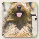 Suche nach zunge untersetzer Hund