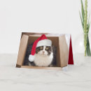 Suche nach weihnachtskatzen karten Kitty