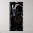 Suche nach sabbat poster Ziege