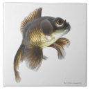 Suche nach floss fliesen Schwimmen