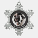 Suche nach boston terrier ornamente Haustiere