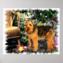 Suche nach waliser poster Hund