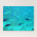 Suche nach great barrier reef puzzle Fisch