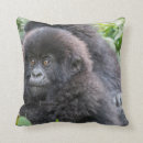 Suche nach gorilla kissen Tierwelt