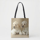 Suche nach goldenes labrador taschen Portrait