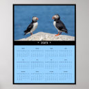 Suche nach puffin poster Im freien