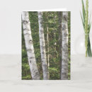 Suche nach birke karten Wald