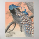 Suche nach vintager pfau poster Asiatisch