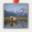 Suche nach braunbär ornamente Usa