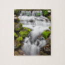 Suche nach moos puzzle Im freien