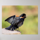 Suche nach singing poster Gesang
