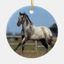 Suche nach appaloosa ornamente Pferd