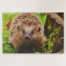 Suche nach igel puzzle Natur