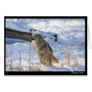 Suche nach wolf im schnee postkarten Wild lebende tiere