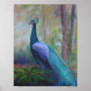 Suche nach florida vogel poster Exotisch