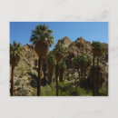 Suche nach joshua tree national park postkarten Landschaft