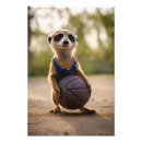 Suche nach meerkats kunst Baby