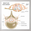 Suche nach neurologe poster Arzt