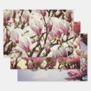 Suche nach magnolie geschenkpapier Weiß