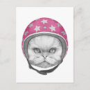 Suche nach persian cat postkarten Haustier