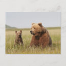 Suche nach bindung postkarten Natur