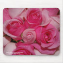 Suche nach ros mausunterlage Rosa