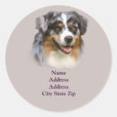 Suche nach herdenhund aufkleber Aussie