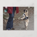 Suche nach felle postkarten Liebe