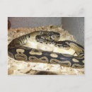 Suche nach schlangen postkarten Python