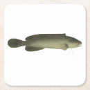 Suche nach pappe poster Fisch